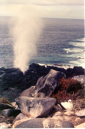 Blowhole Espaola Island